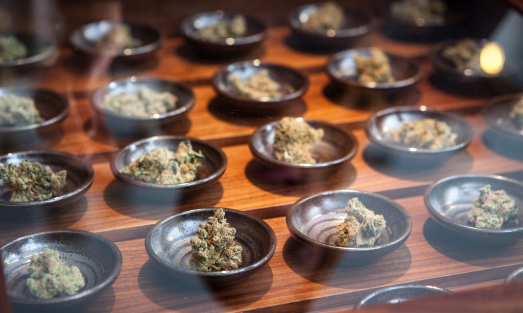 Oregon Marijuana Retailers Pass Decoy Test