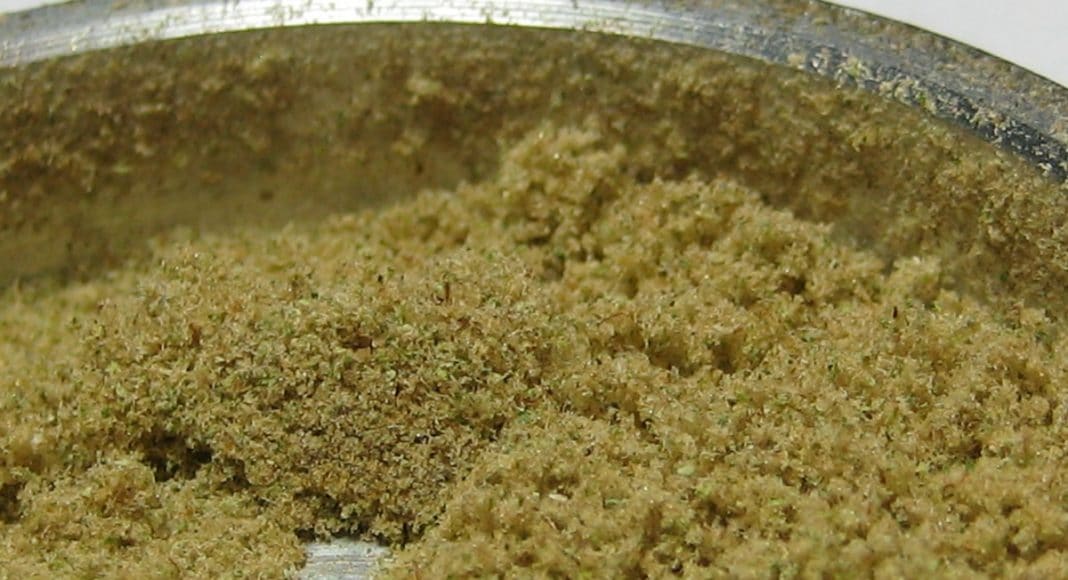 CBD Kief: Why You Need It In Your Life Immediately