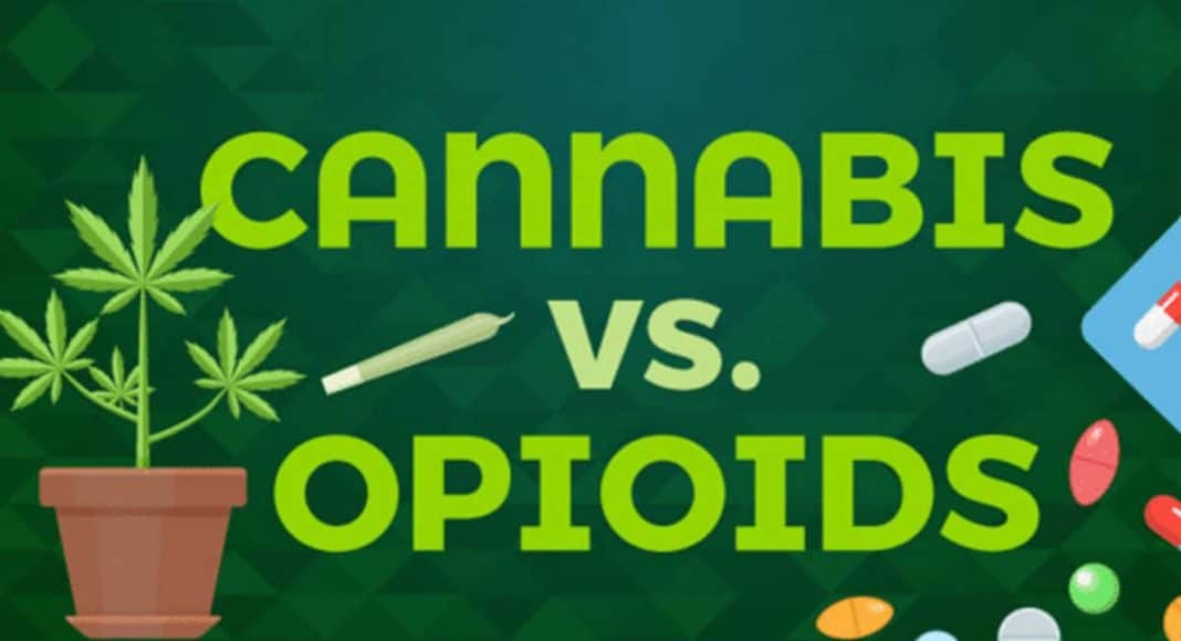 Cannabis And Opioids