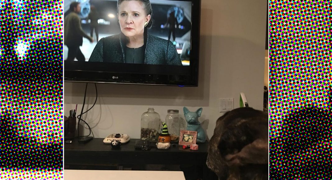 Carrie Fisher's Dog