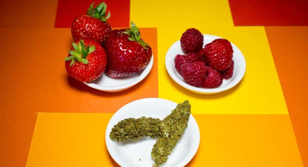 Cannabis Fruit Leathers