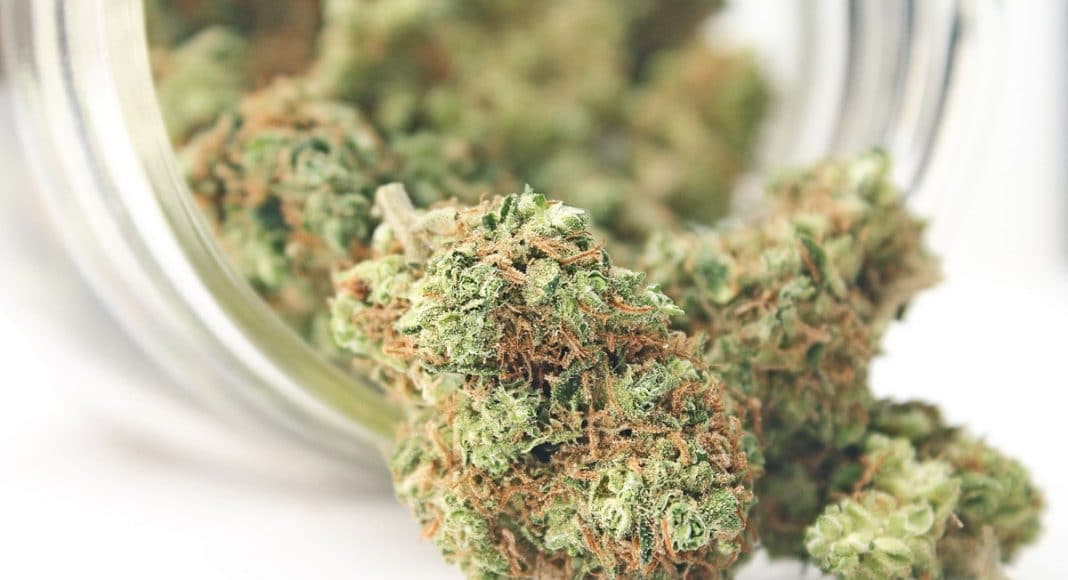 Federal Marijuana Legalization