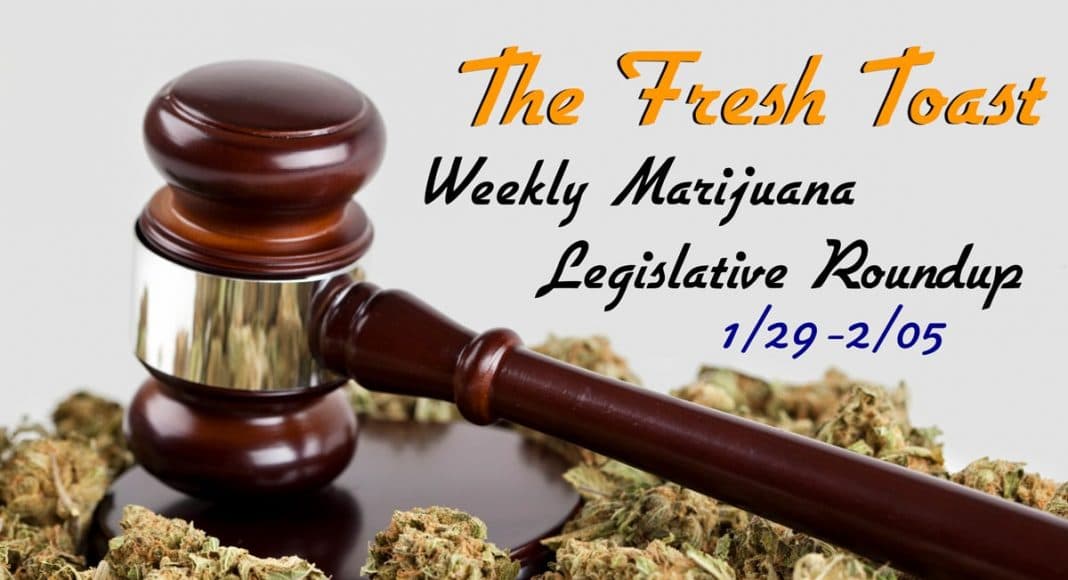 Marijuana Legislative Roundup