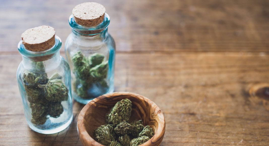 Marijuana 101: A Simple Guide To Marijuana Tasting