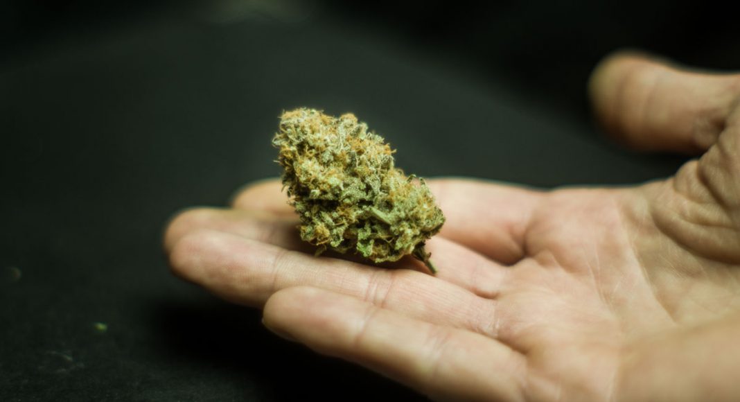 Survey Says: Using Marijuana Is Morally Acceptable