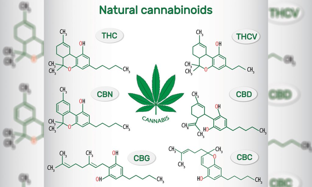 How Marijuana's THCV Can Positively Impact Your Life
