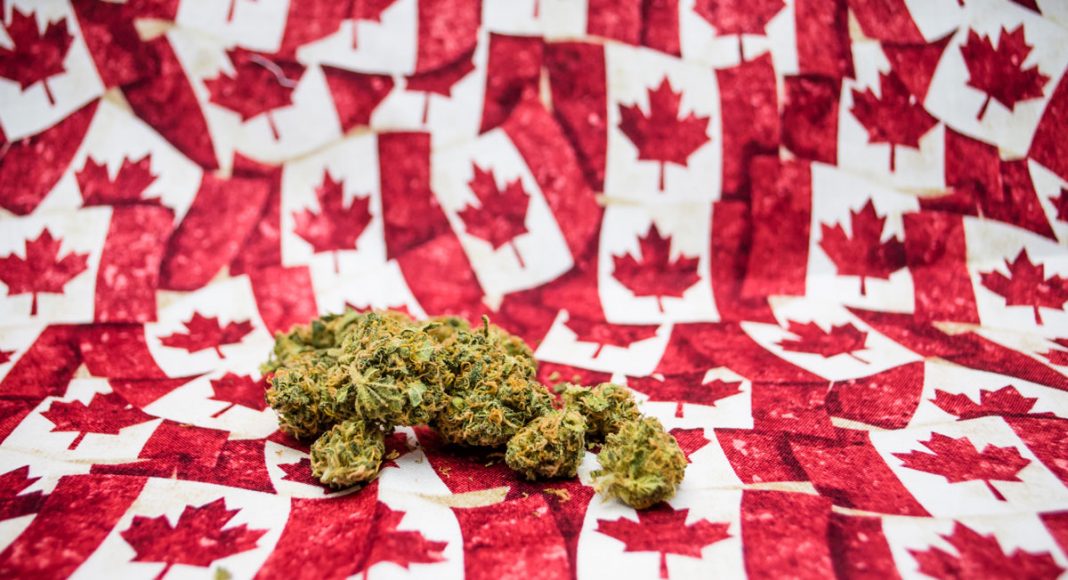 How Canadian Cannabis Will Help Fuel 2022 Beijing Olympics