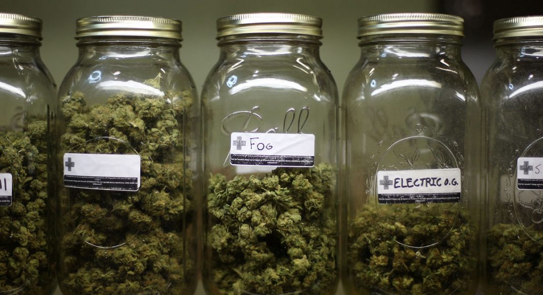 New York Health Dept. Has Finished Its Study On Marijuana Legalization