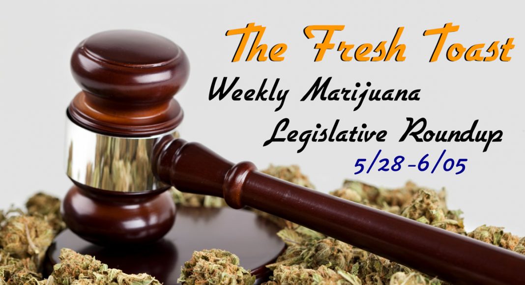 The Fresh Toast Marijuana Legislative Roundup: June 5