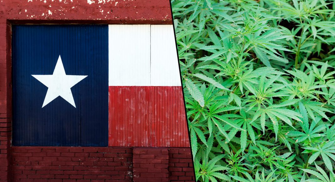 Texas Republicans Now Support Cannabis Decriminalization