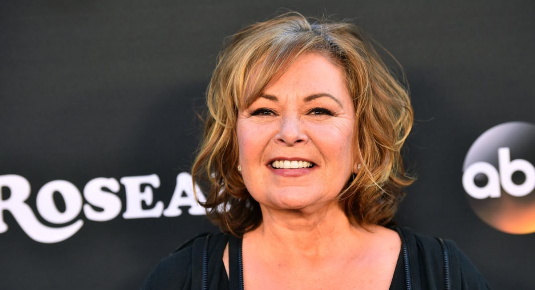 Roseanne Barr Gets Porn Offer From A 'Weed-Infused Adult Film Studio'