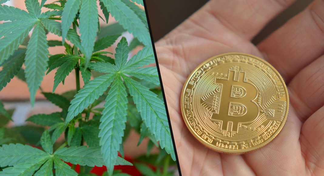 Is Legal Cannabis The New Bitcoin?