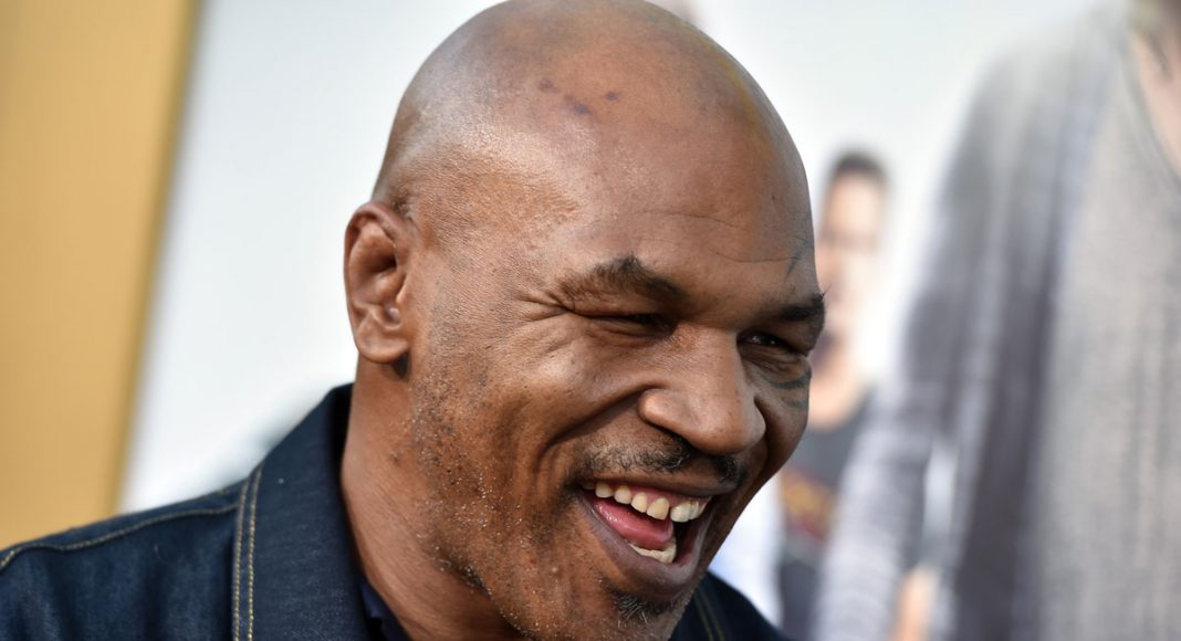 mike tyson once boxed while high and won