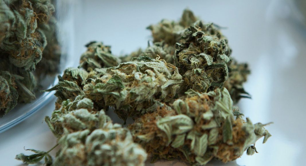 federal health experts express concerns over strong marijuana