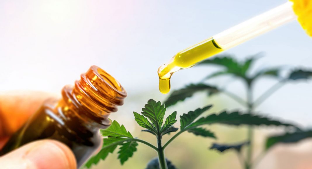 the cbd you just bought might be bogus