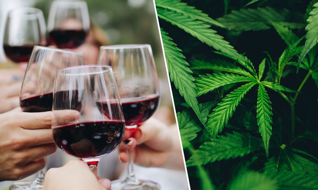 Weed Clubs vs. Wine Clubs