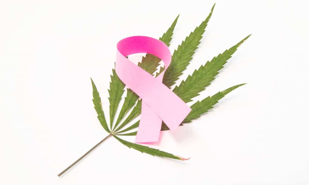 cannabis during breast cancer treatment what are the benefits