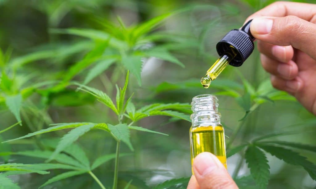 4 Biggest Problems With That CBD People Are Buying