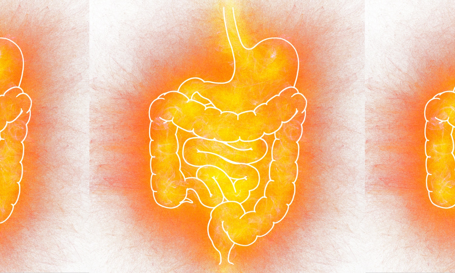 Does Cannabis and Gut Health Boost Your Gut Bacteria?