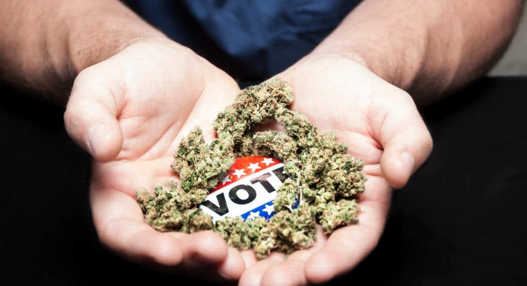 Cannabis Legalization: What’s At Stake On Election Day