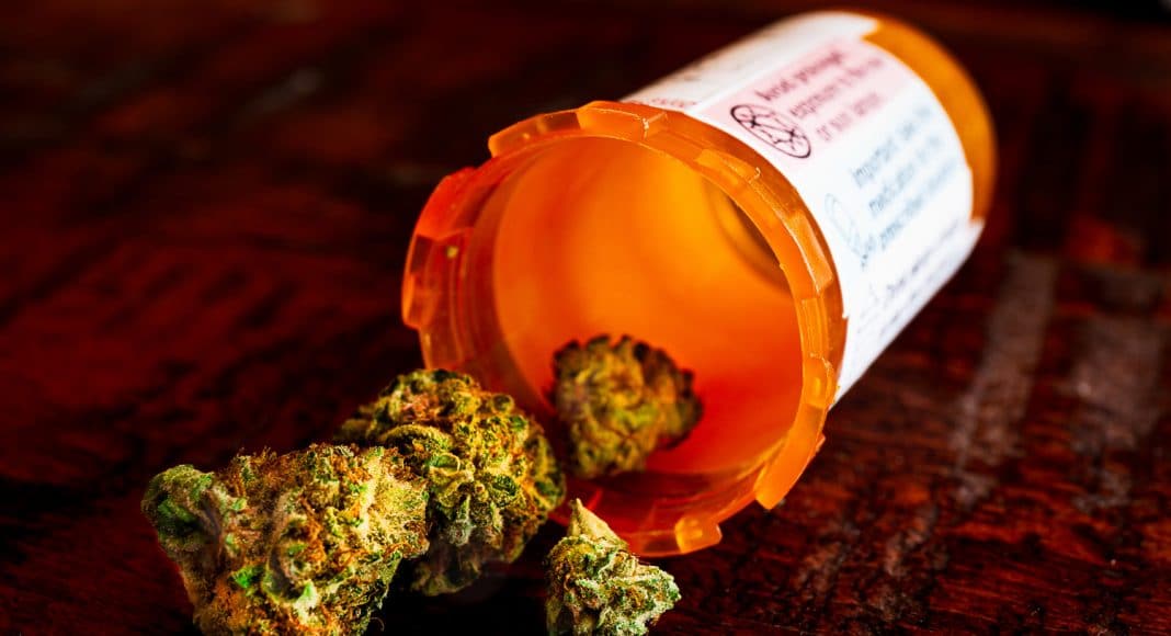 New Study Reinforces Marijuana's Power To Treat PTSD