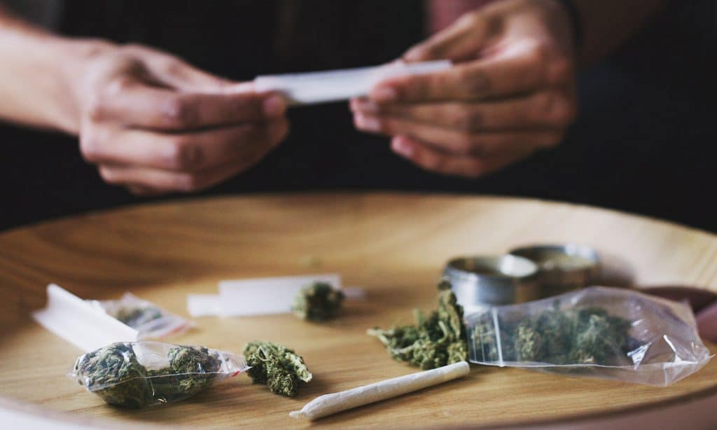 Study Finds Cannabis Use Disorder Declining Among Daily Marijuana Users