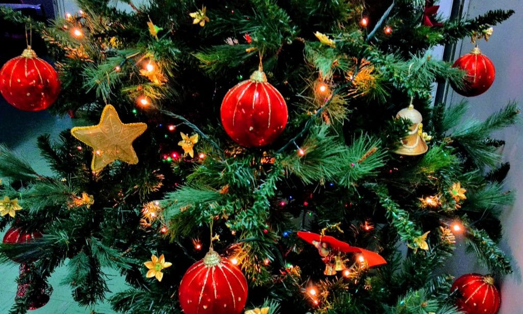 How To Keep Your Christmas Tree Fresh Throughout The Holidays