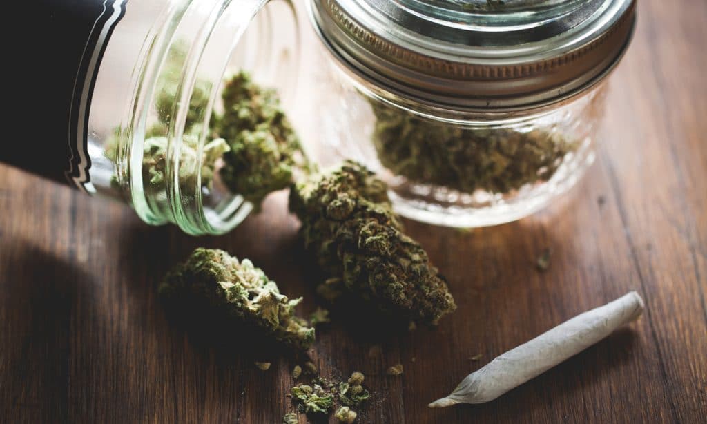 How Young Adults Are Misusing Medical Marijuana Prescriptions