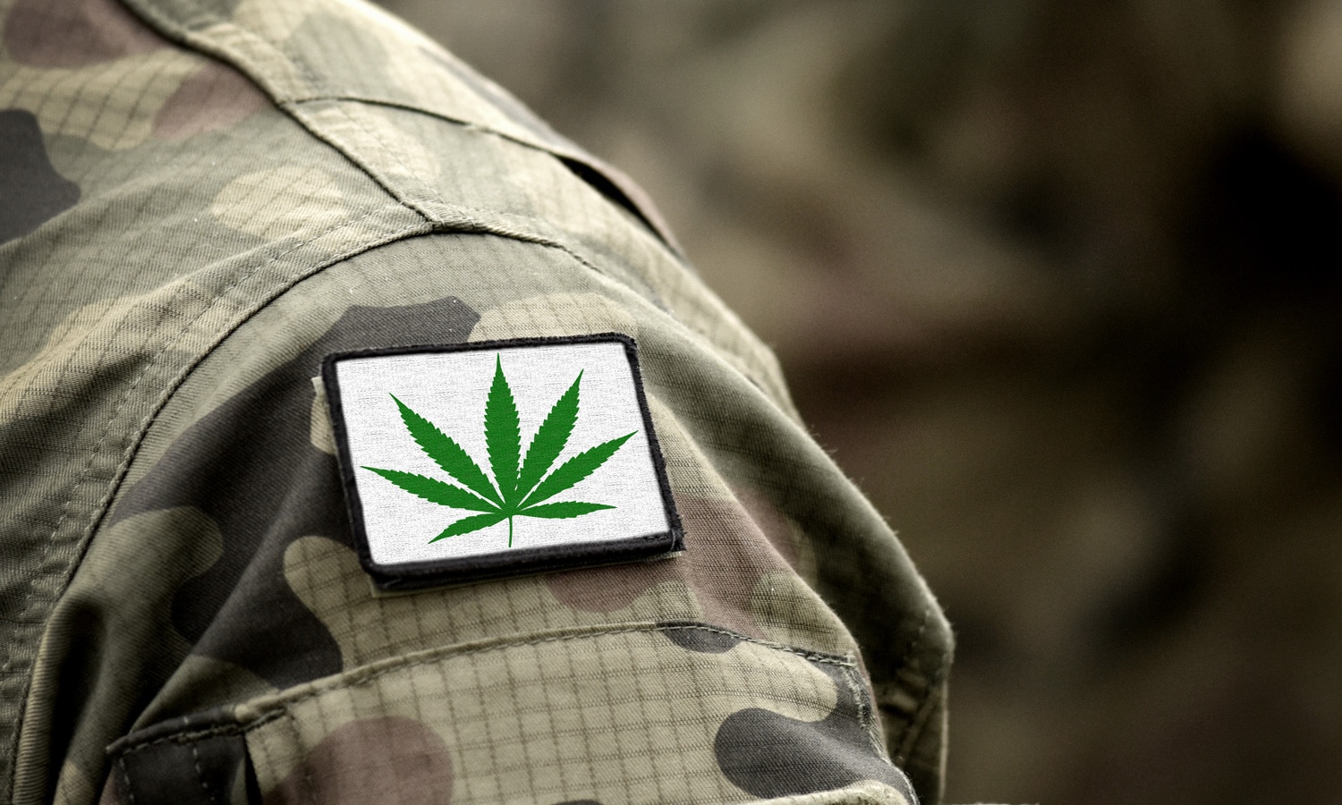Veterans Can Use Medical Marijuana, They Just Have To Pay For It