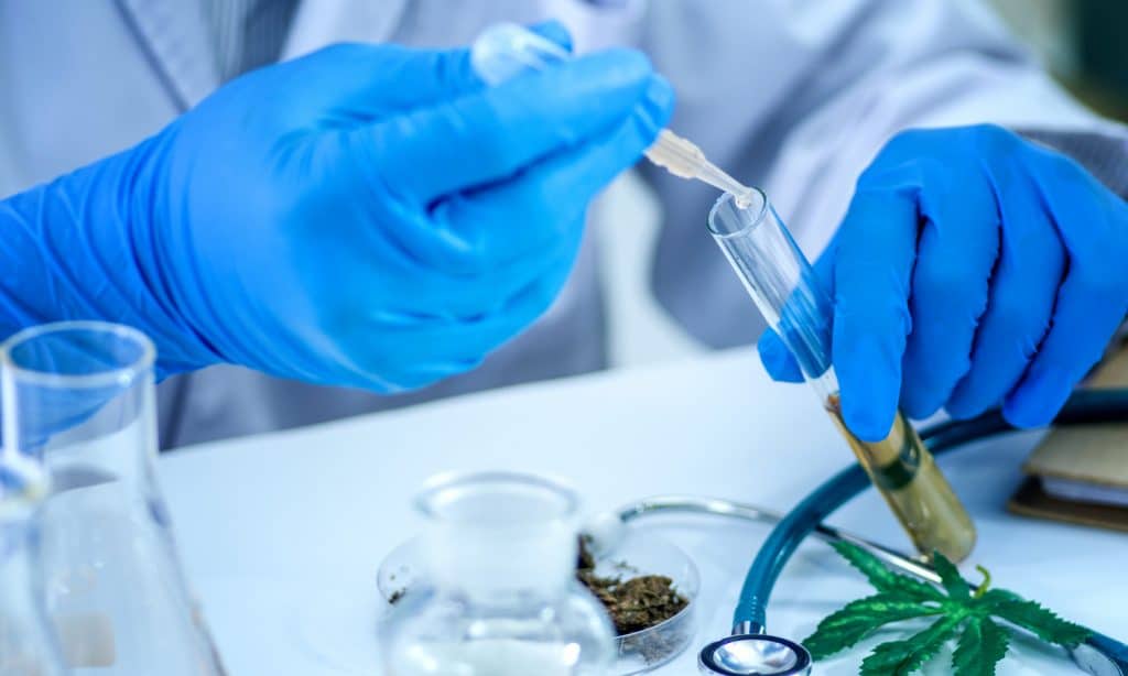 ICYMI: DEA And Cannabis Research Still Lousy Bedfellows