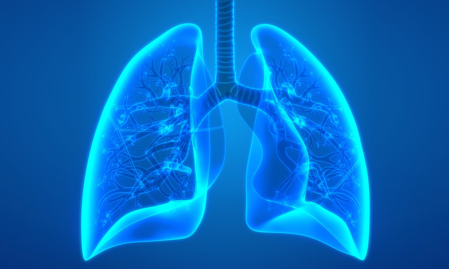 Cannabis Could Prevent Deadly Covid-19 Lung Inflammation