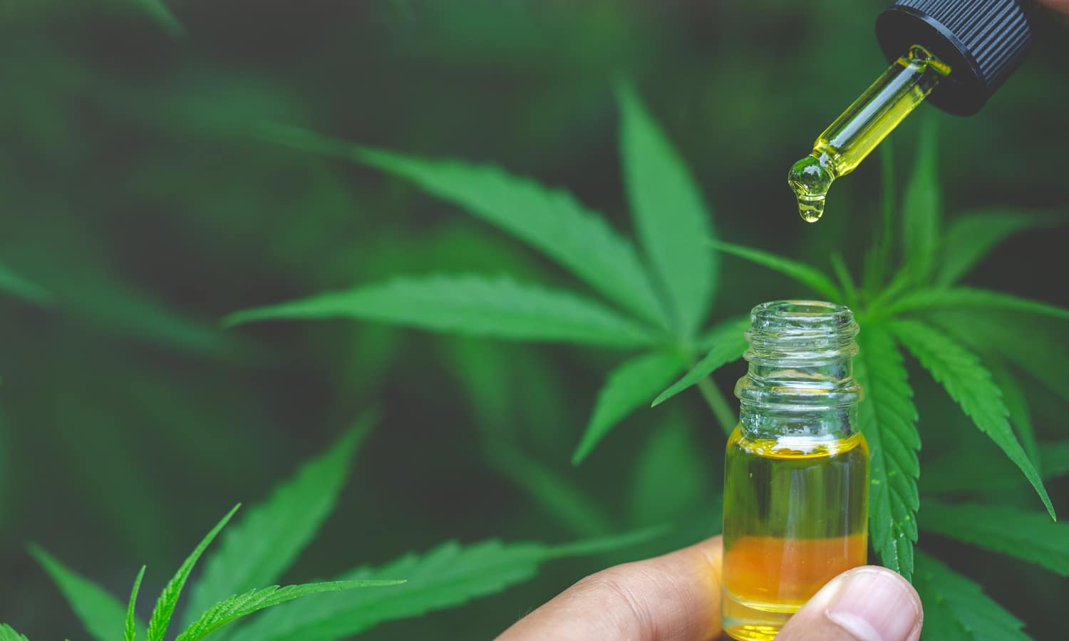 Video: The Science Of Cannabis And CBD With Four Leading Experts