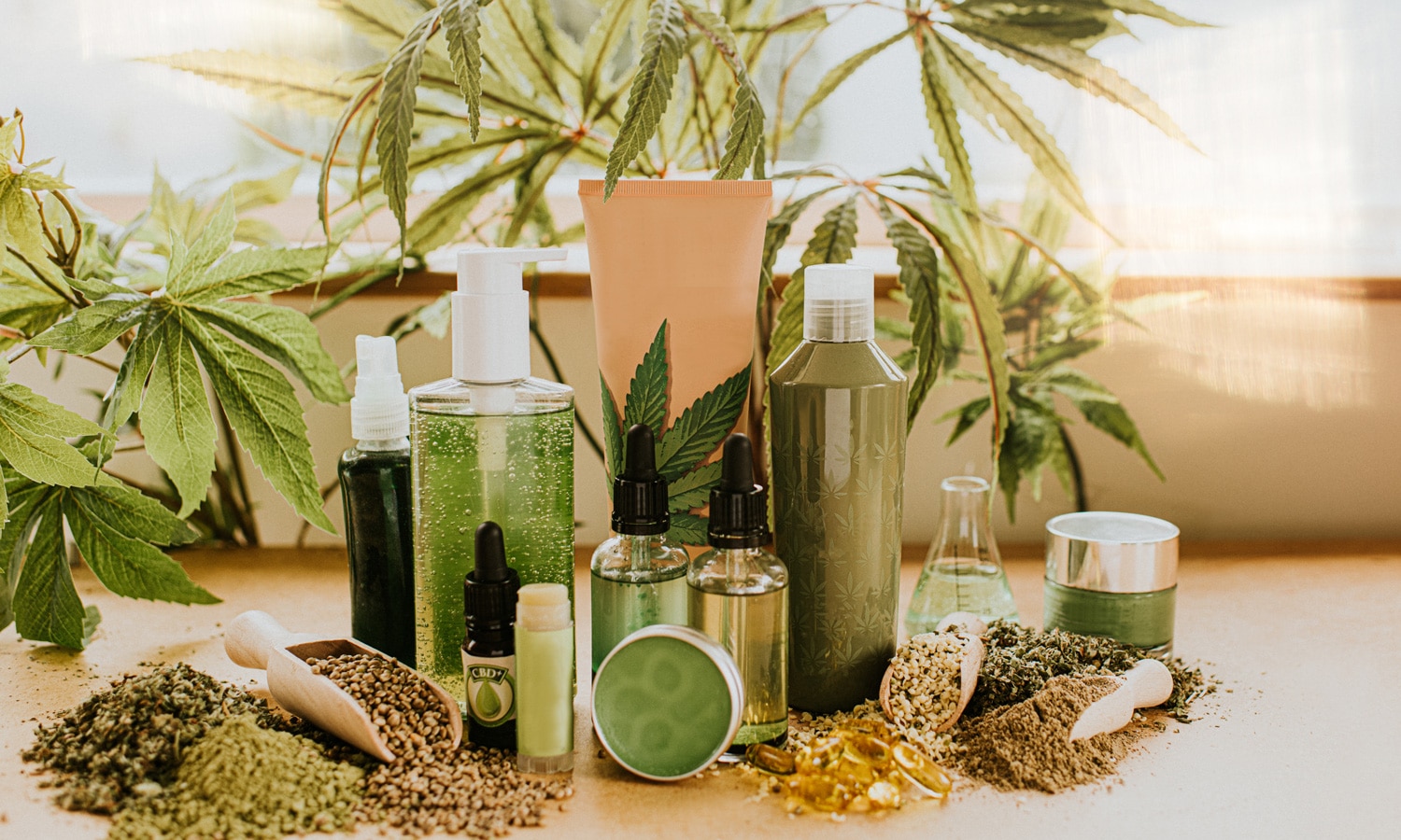 Dermatologists Chime In On The Effectiveness Of CBD Beauty Products