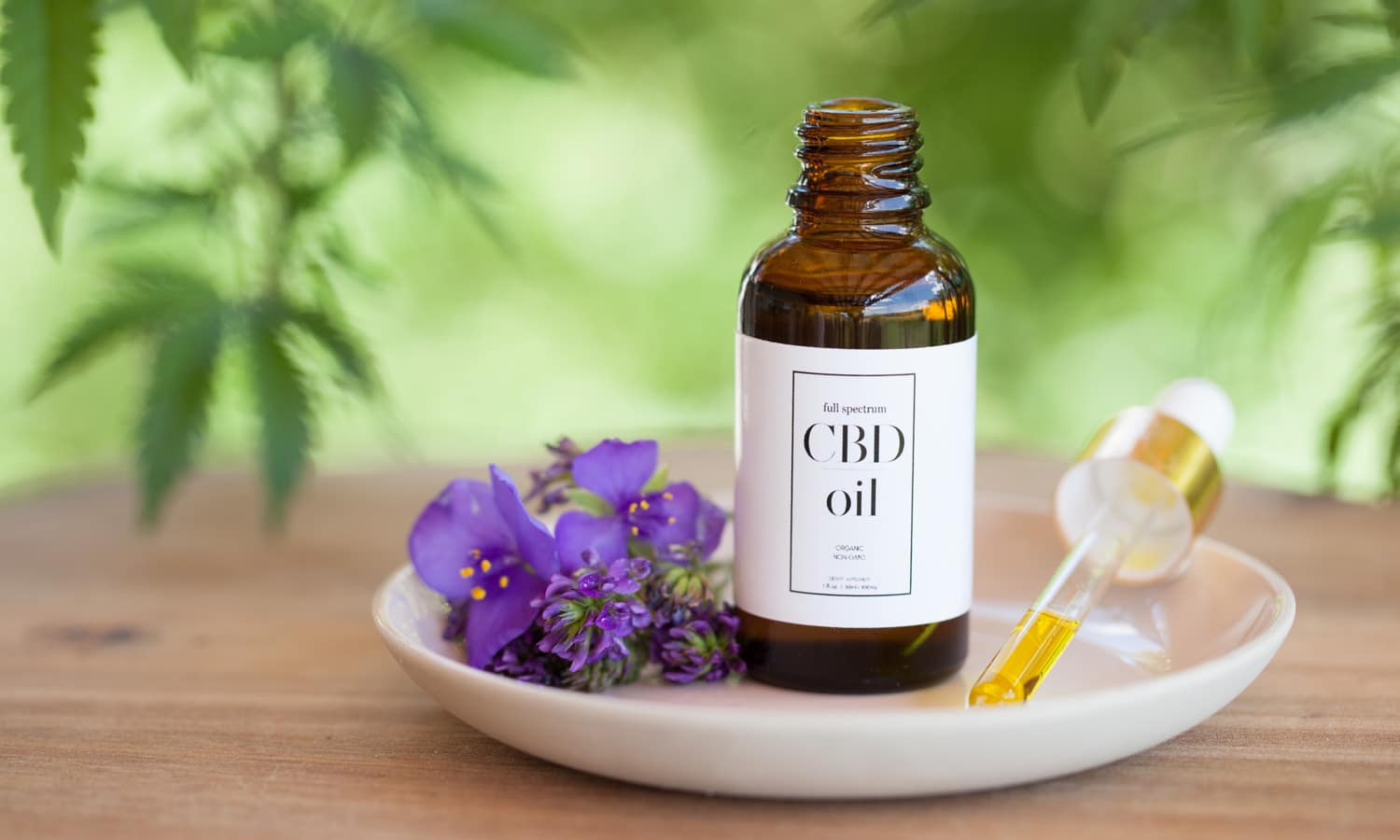Why Is the CBD Market Exploding?