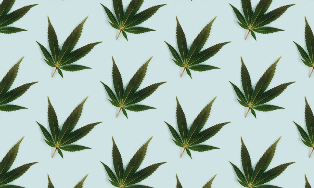 DEA Doesn't Want You To Worry About Its New Hemp Rule—Don’t Take the Bait!