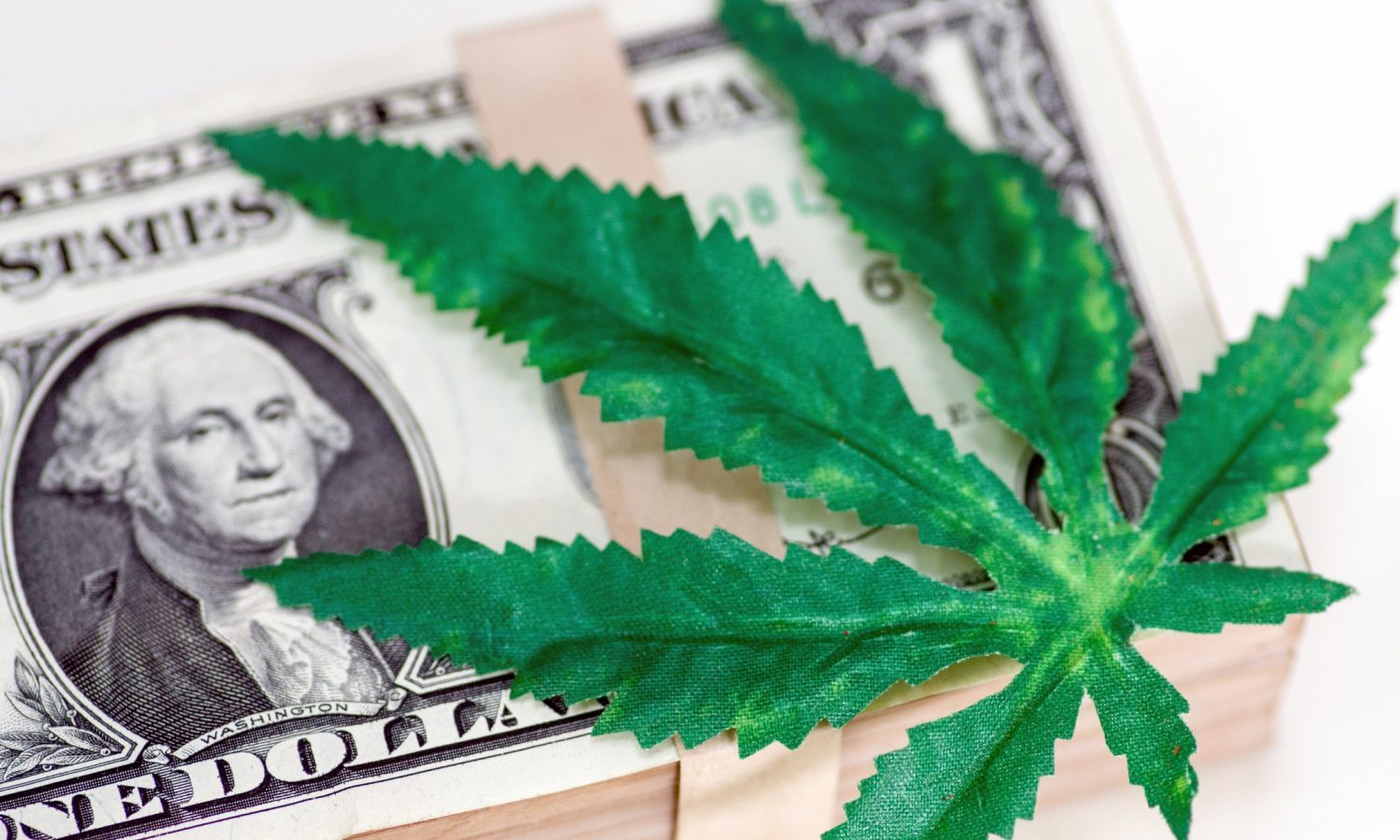 Election Results Getting You Stoked About Cannabis Stocks? Here's How To Invest