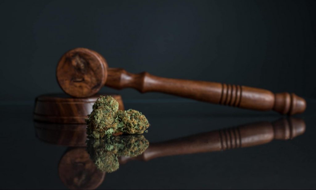A Right-Leaning Supreme Court Won't Impede Cannabis Reform, Legal Experts Say