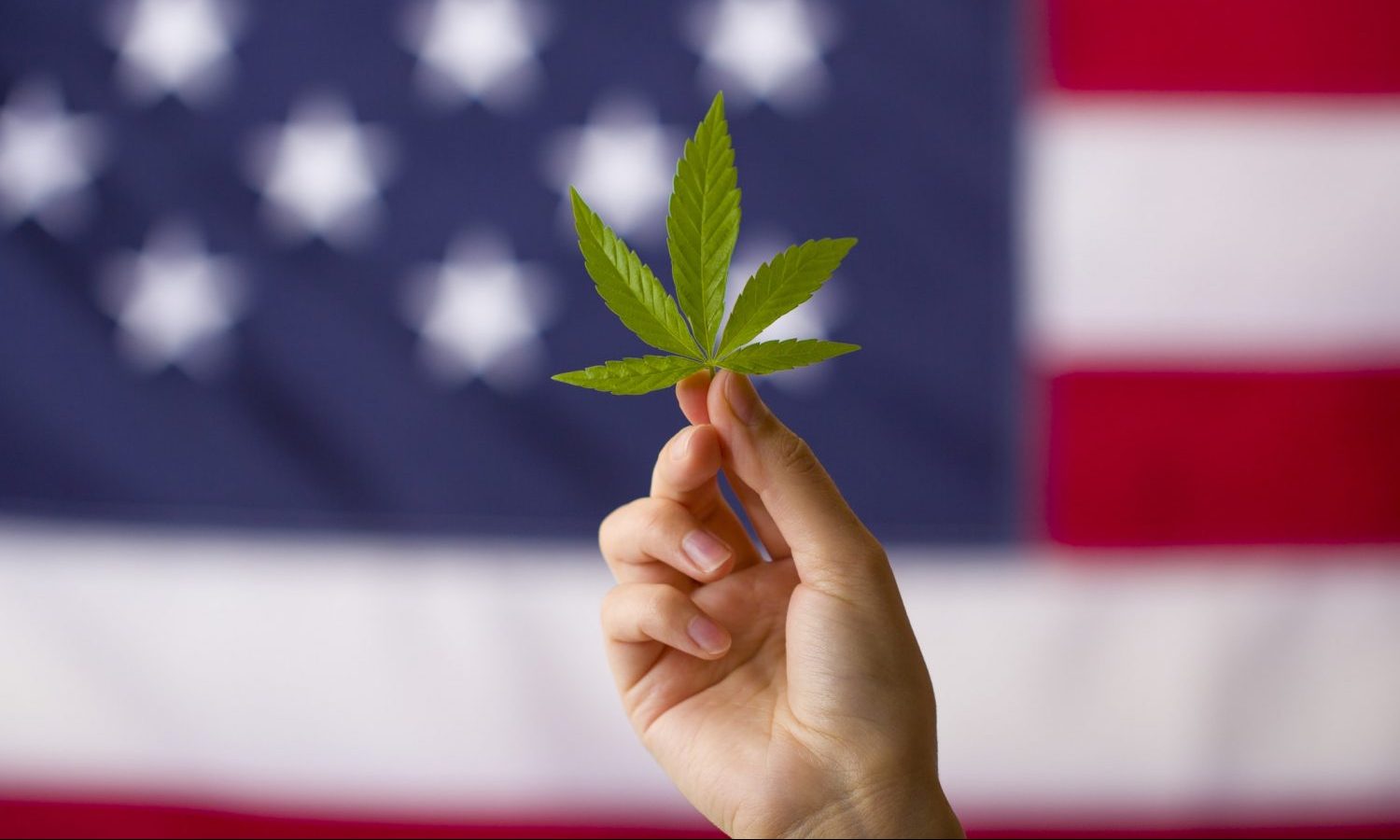 could marijuana legalization unite a divided country