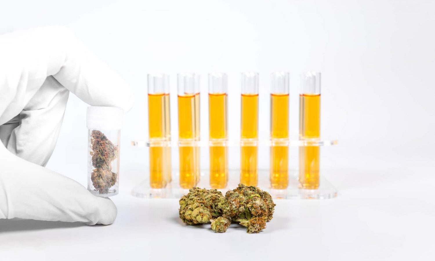 The USP Lays Out Guidelines For Medical Cannabis