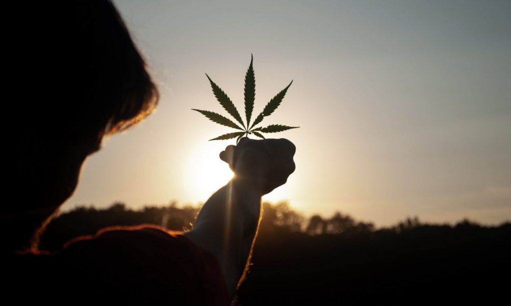 As Cannabis Reform Continues In 2021, Here's What To Expect