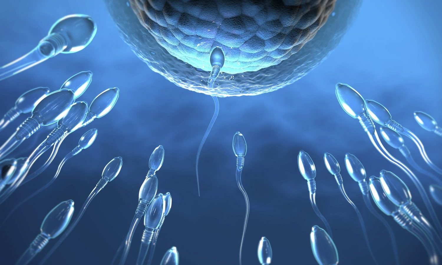 Does Using Cannabis Decrease Your Sperm Count?
