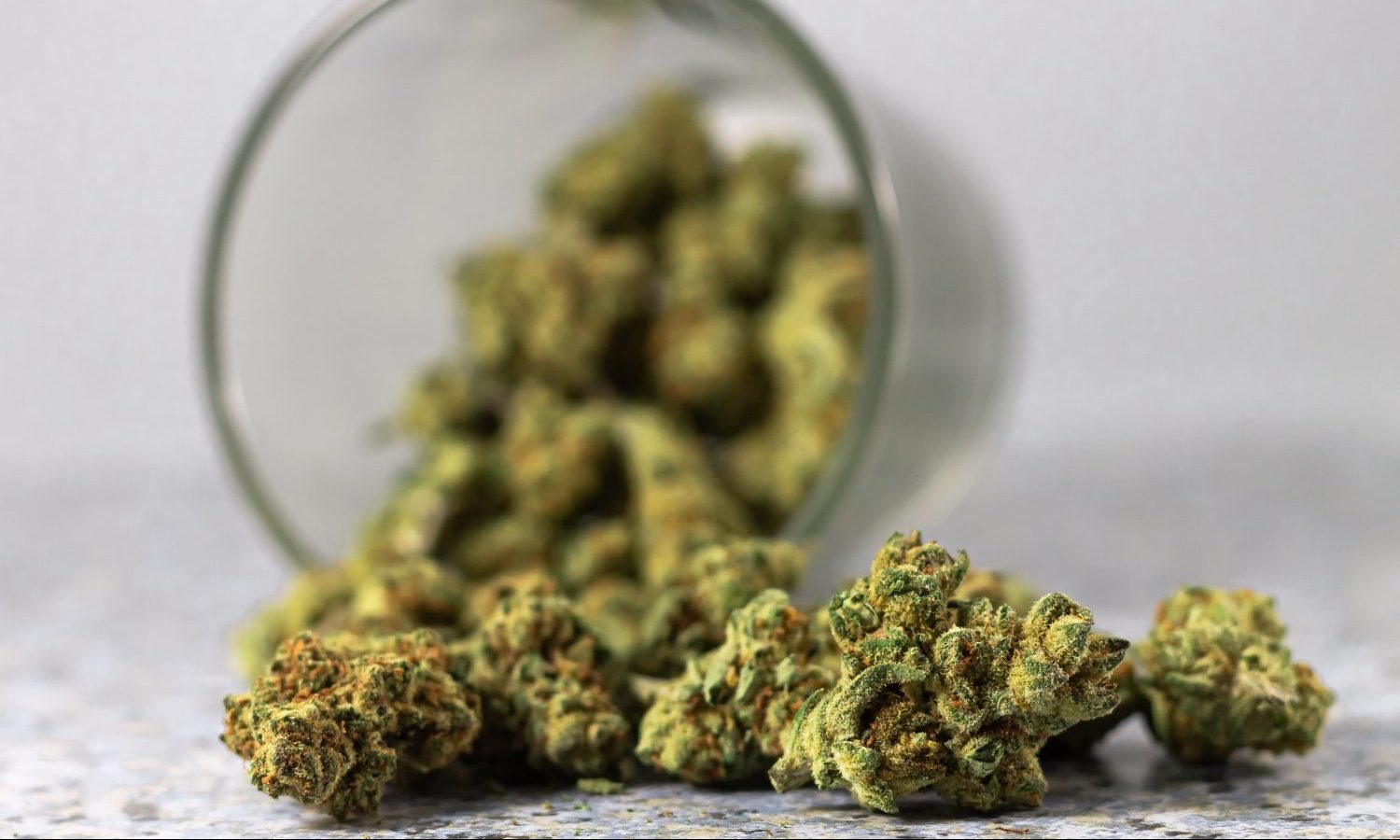Survey Says America's Favorite Way To Kick Opiates Is Cannabis