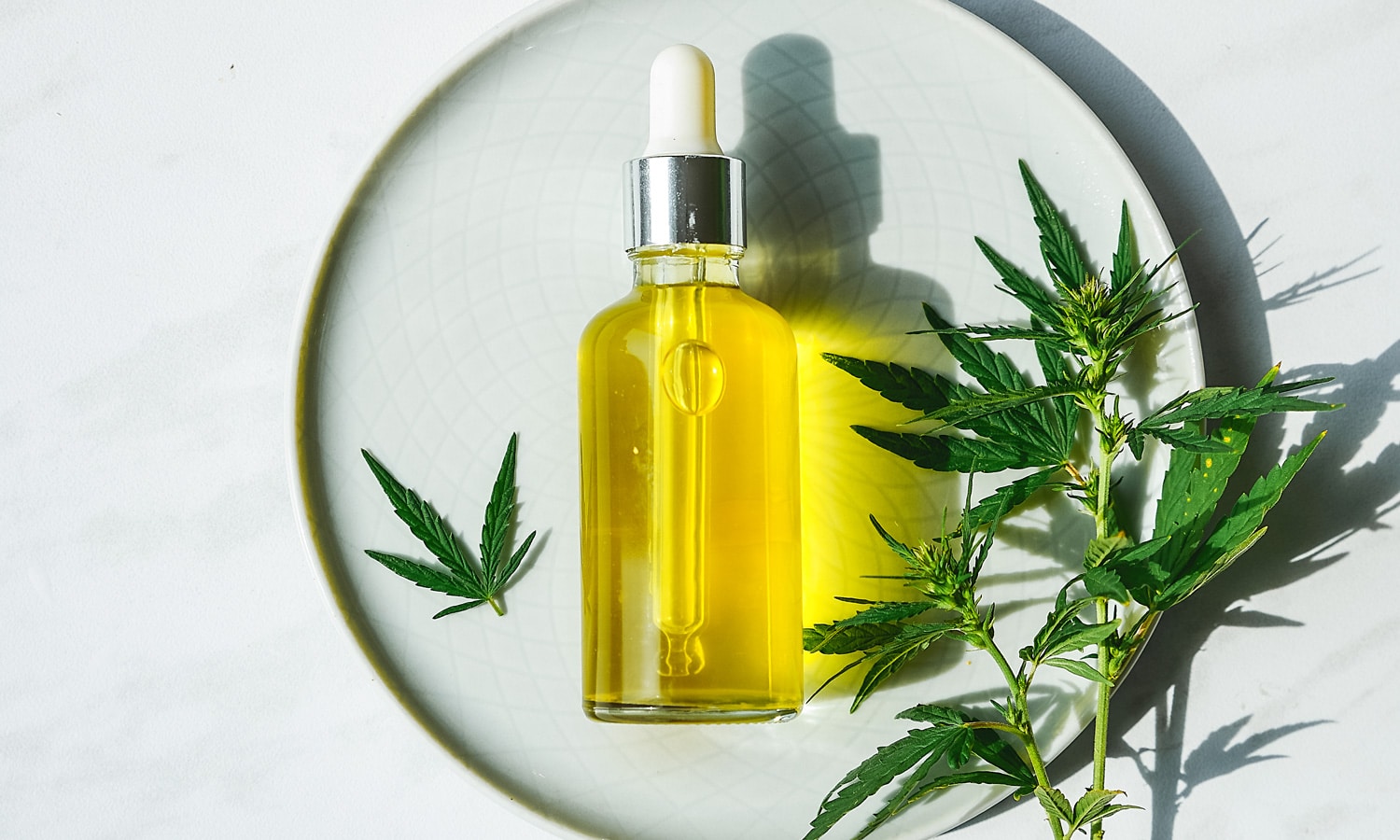 The 2020s Will Be The Decade Of CBD