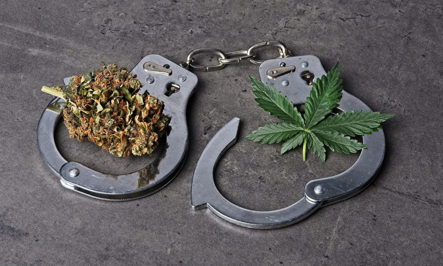 How Marijuana Legalization Will Greatly Benefit The Criminal Justice System