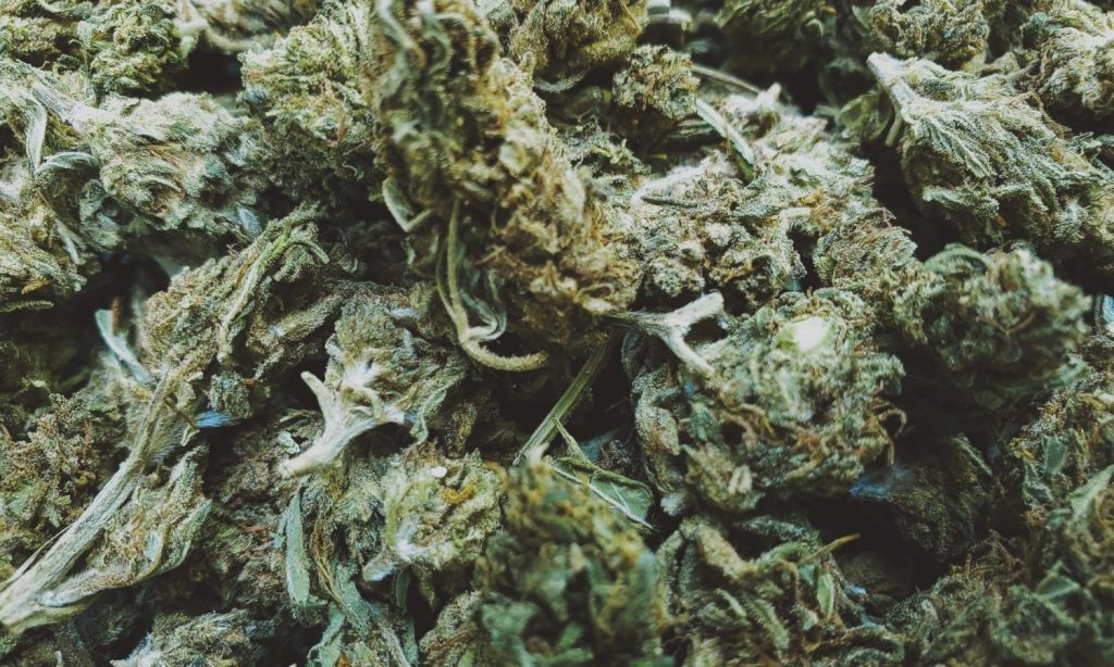 The Rookie's Guide To Kush Weed