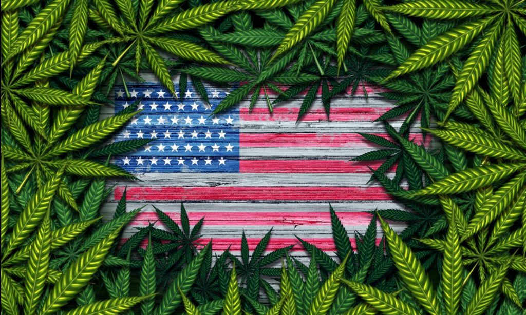 Congress Looks At Bill To Research Marijuana Legalization