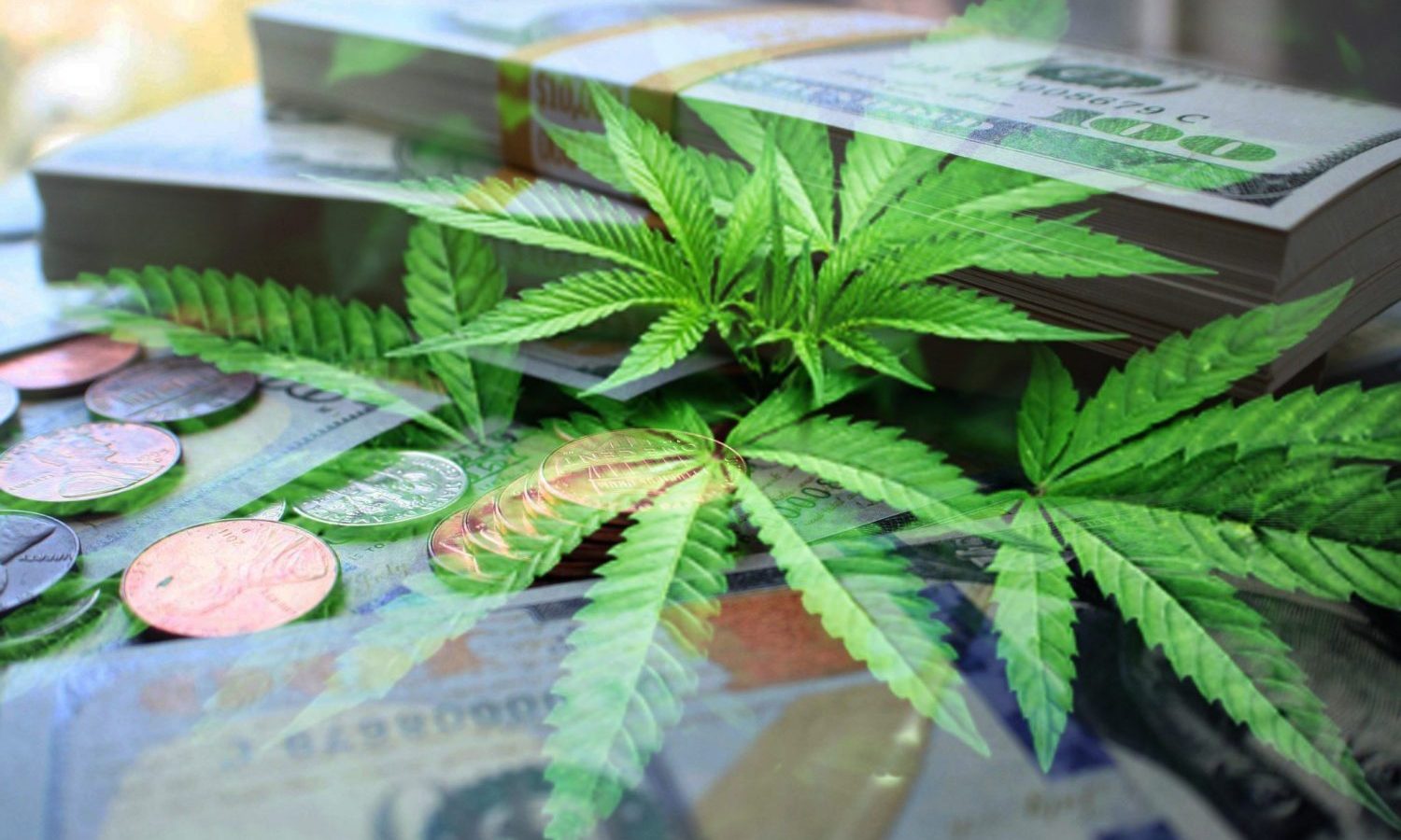 Increased Demand For Top Talent As Cannabis Industry Salaries Continue To Surge
