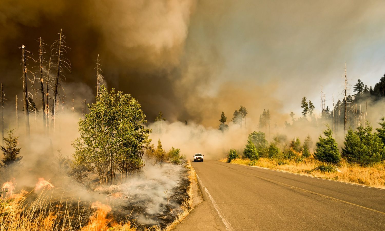 Fire Season Is Coming — Here's What That Means For Canna-Businesses