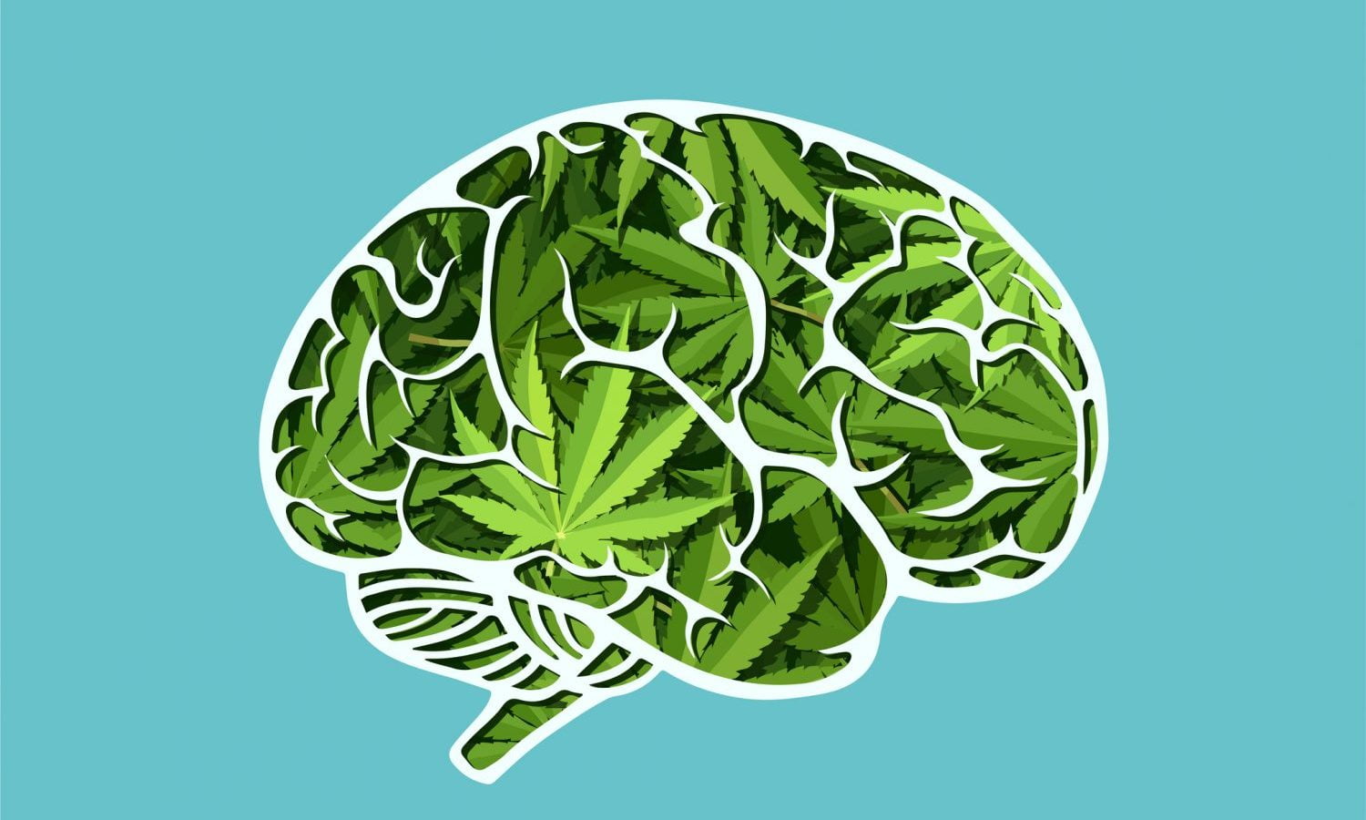 Cannabis Brain