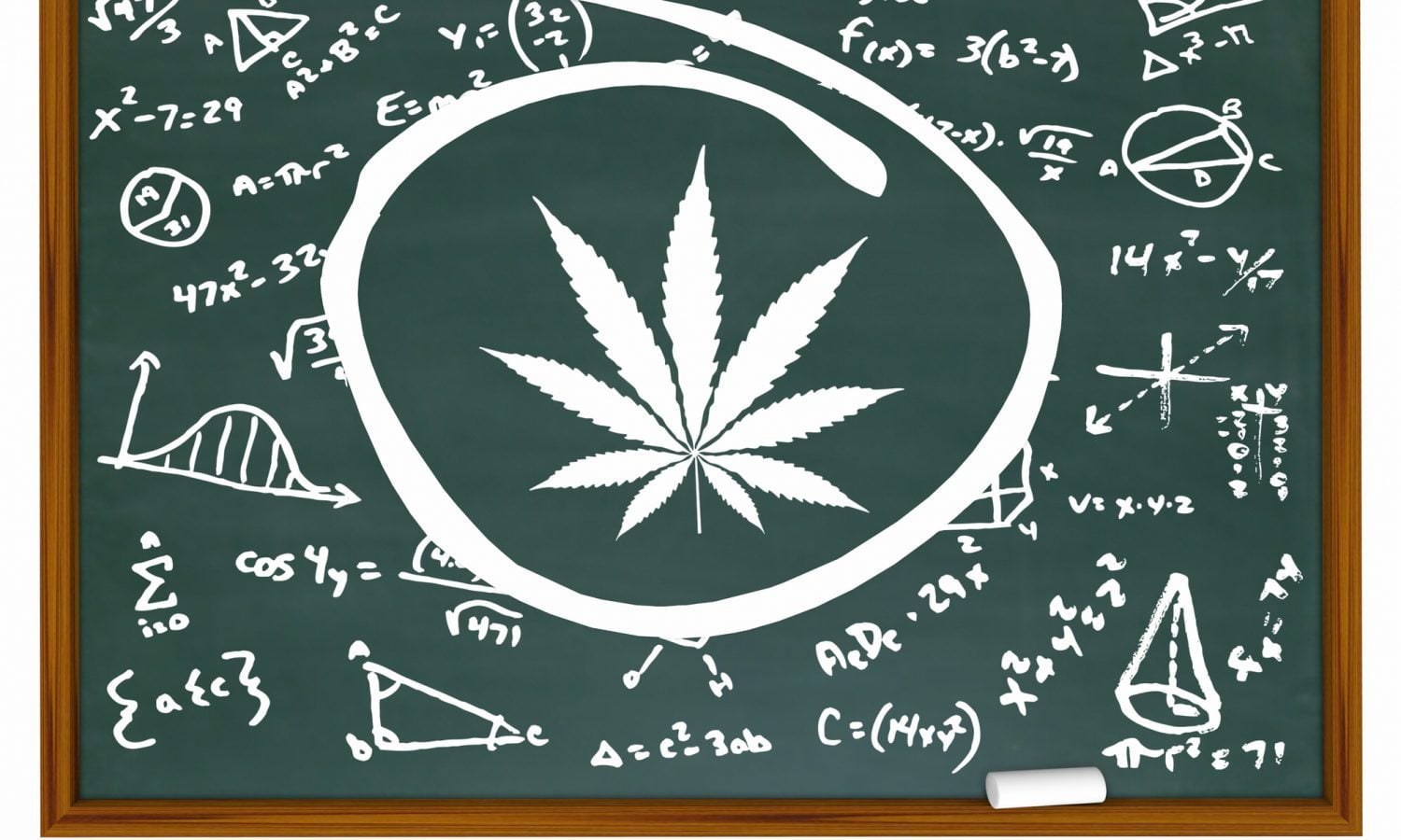 cannabis education